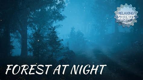 Forest At Night Ambience Crickets Wind Owls Relaxation Sounds 2