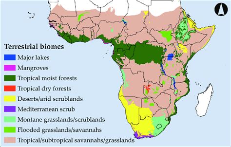 1 Simplified Map Of Sub Saharan Africas Eight Terrestrial Biomes The