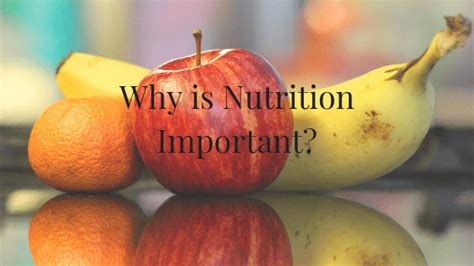 Why Is Nutrition Important Health And Wellbeing North Ward