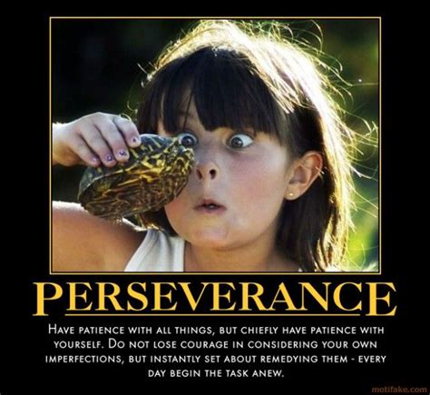 Perseverance Little By Little The Bird Builds Its Nest Funny