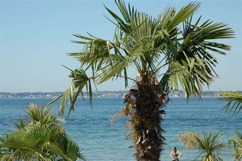 I vår förstklassiga restaurang kan du avnjuta en god middag från vår varierade och vällagade á la carte. File:Helsingborg Tropical Beach 2.jpg - Wikimedia Commons