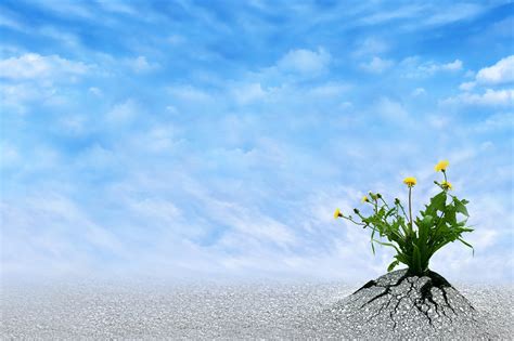 The ability to be happy, successful, etc. Resilience is Essential For Long-Term CEO Success - Business 2 Community