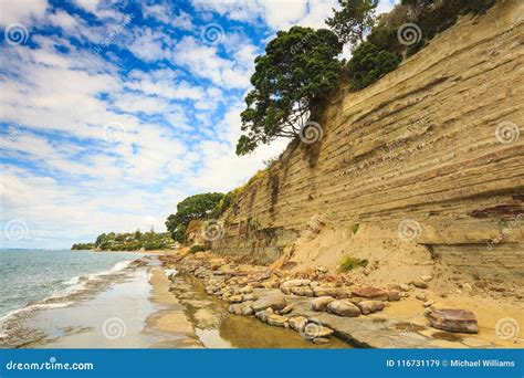 Eroding Coastal Sandstone Cliff With Rock Layers Mairangi Bay Nz