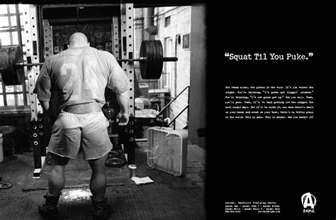 Free Download Weights Training Wallpaper 1420x931 Weights Training