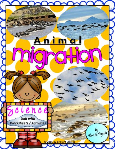 Animal Migration Worksheets