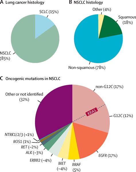 Lung Cancer The Lancet