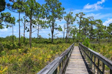 Florida Ten Thousand Islands Ultimate Guide On How To Explore