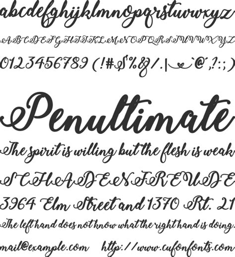 Stylish Calligraphy Font Download Free For Desktop And Webfont