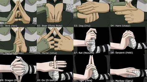 Hand Seals Naruto Fanon Encyclopedia Wiki Fandom