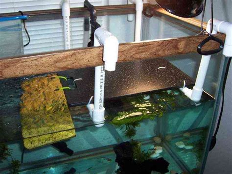 This Is Cool Has A Few Diy Turtle Ramp Setups Fish Tanks Turtle