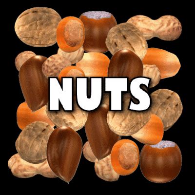 Nuts Gif Find Share On Giphy My XXX Hot Girl