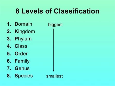 Levels Of Classification 2010