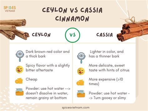 A Comprehensive Guide To Ceylon Cinnamon Spicesvietnam