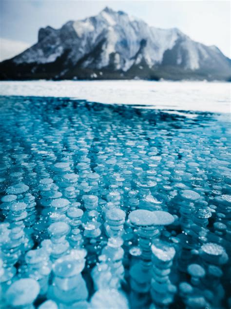 How To Visit The Frozen Bubbles At Abraham Lake Best Caribbean