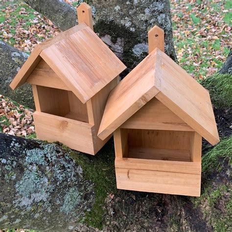 Set Of Two Large Robin Bird Nest Boxes By Garden Selections In 2022