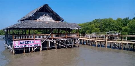 Ekowisata Mangrove Wonorejo Keindahan Di Ujung Timur Surabaya