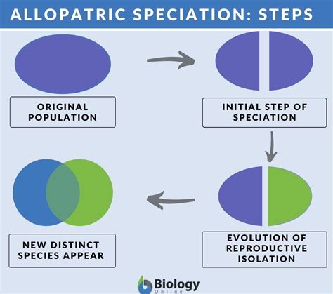 Allopatric Speciation Definition And Examples Biology Online Dictionary