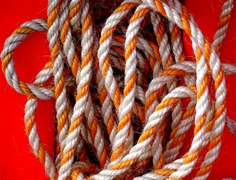 Orange And White Colored Rope Free Stock Photo Public Domain Pictures