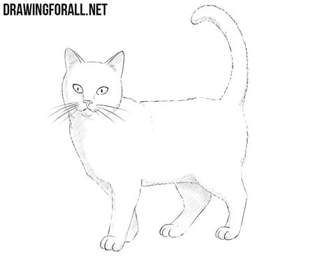 Look at the shapes and placement, and then copy along! How to Draw a Cat | Drawingforall.net