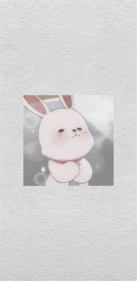 Cute Aesthetic Bunny Backgrounds Lalocositas