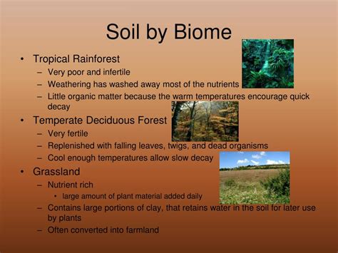 Ppt Soil Powerpoint Presentation Free Download Id752191
