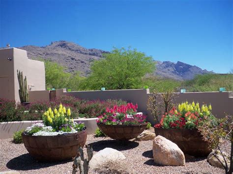 Pots Tucson Az Sonoran Gardens Inc Arizona Backyard Landscaping