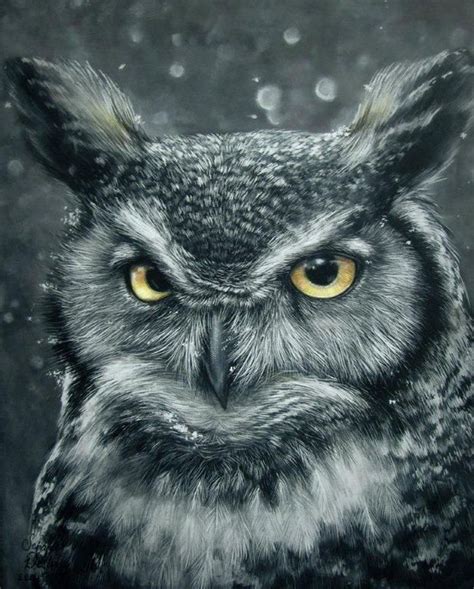 Owl Acrylic Owl Tattoo Drawings Owls Drawing Animal Drawings Owl