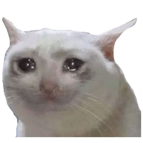 Crying Cat Meme Png Photo Png Mart