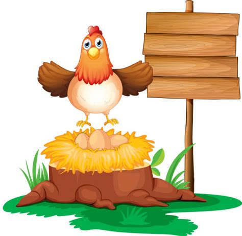 Best Hen Clipart Pictures Illustrations Royalty Free Vector Graphics