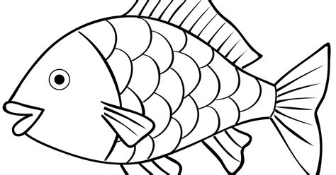 kolase binatang ikan hd kumpulan gambar kolase