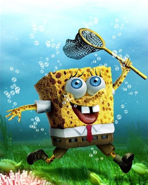 Real Sponge Bob Spongebob Wallpaper Realistic Cartoons Spongebob