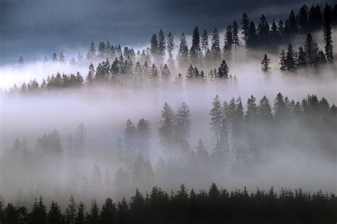 The Fog On Behance