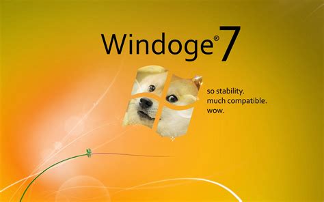 Doge Wallpaper Download Doge Wallpaper Hd Facerisace