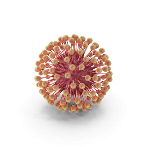 Herpes Virus PNG Images & PSDs for Download | PixelSquid - S10601308B