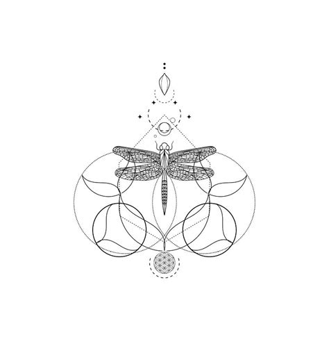 Holy Geometry Dragonfly Digital Art By Sue Schwamborn Fine Art America