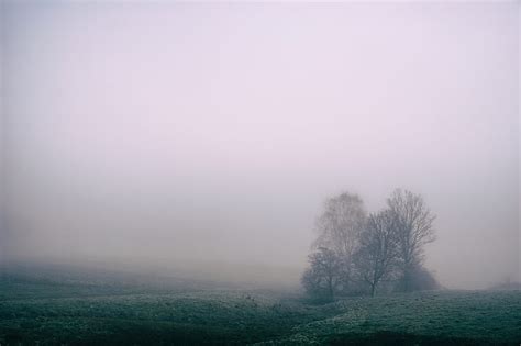 A Foggy Field With A Gray Misty Sky Foggy Field Hd Wallpaper Peakpx