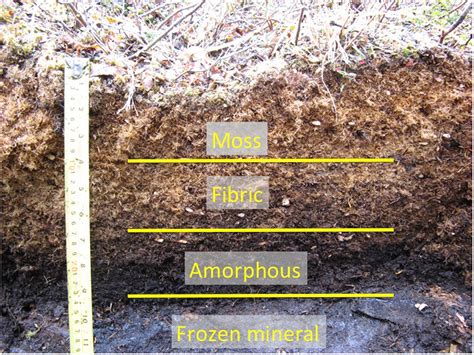 Dom Composition And Transformation In Boreal Forest Soils The Effects
