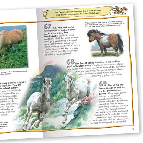100 Facts Horses And Ponies Top Horse Book For Kids Miles Kelly