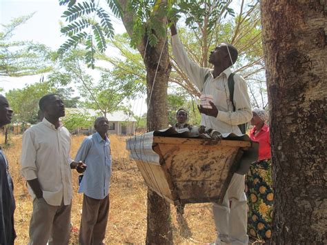 Whats Cookin In Tanzania And Uganda A Precious Remnant