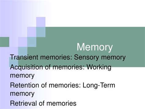 Ppt Memory Powerpoint Presentation Free Download Id1260697
