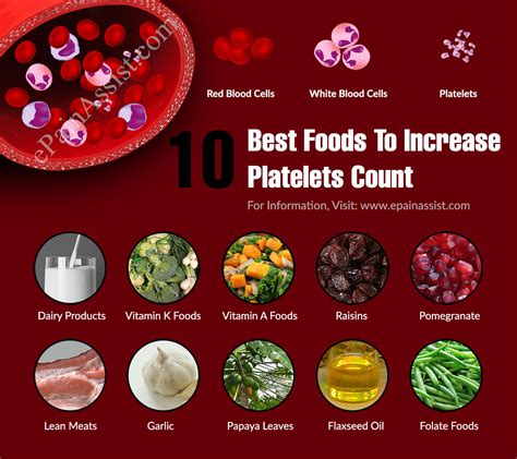 We must increase blood platelets whenever they fall. 10 Best Foods To Increase Platelets Count