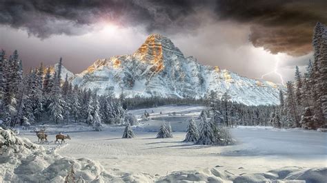 Snow Valley Winter Landscape Wallpaper 1920 × 1080 Rwallpaper