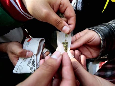 La Marihuana Y La Cocaína Son Las Drogas Más Consumidas Por Los Trabajadores En Chile