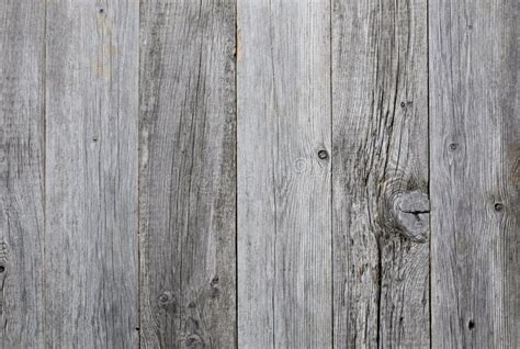 Grey Wood Stock Photo Image Of Woodgrain Background 12207888
