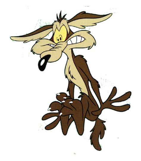 Wile E Coyote And The Road Runner Bugs Bunny Looney Tunes Cartoon