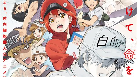 In a world where eye color shows the power of the owner, abel was a. アニプレックスが『はたらく細胞』シリーズについて新作 ...