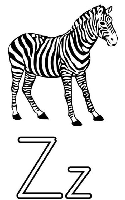 Letter Z Is For Zebra Coloring Page Kids Play Color Zebra Coloring
