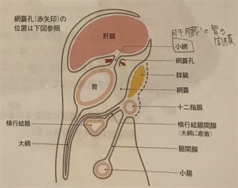 攻略 おかめ の 館 【フォートナイト】おかめの館【鏡】攻略 │