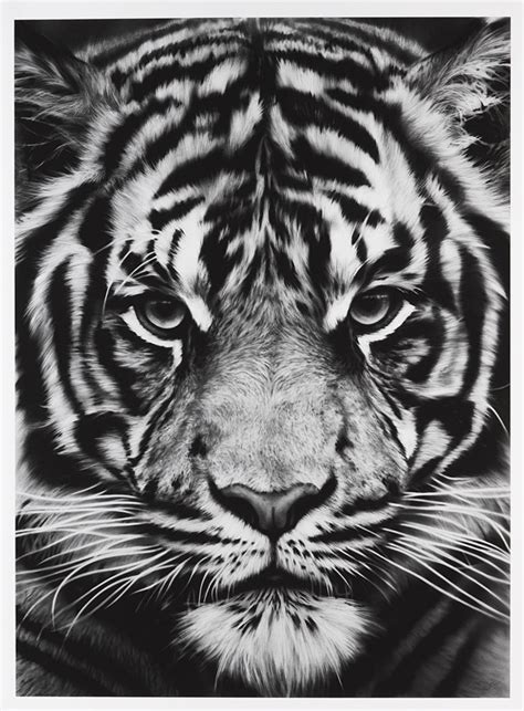 New Arrived Wall Painting Tiger Poster Print On Canvas Black And White Art Pictures For