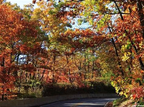 10 Scenic Drives In Illinois To Take During The Fall Orland Park Il